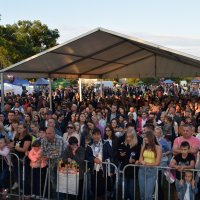 Zobacz w powiększeniu: Dożynki Powiatowe Baranów 2021 (43)